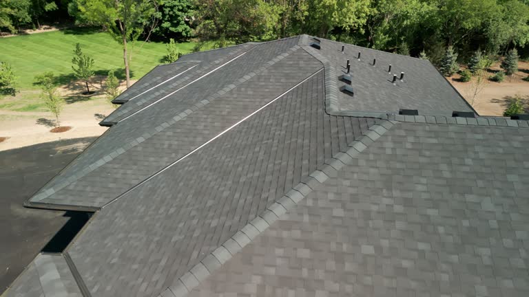 Best Asphalt Shingles Roofing  in Orida City, FL