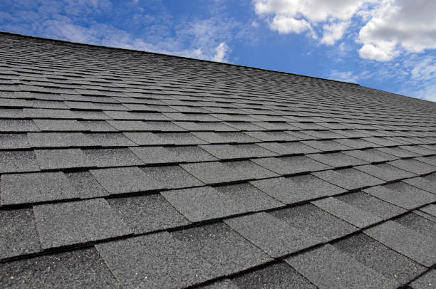 Best Flat Roofing  in Orida City, FL
